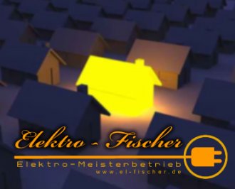 Elektro-Fischer